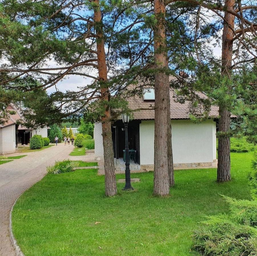 Kraljevi Konaci Olja Apartment Zlatibor Bagian luar foto