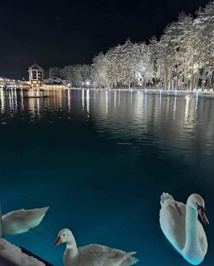 Kraljevi Konaci Olja Apartment Zlatibor Bagian luar foto