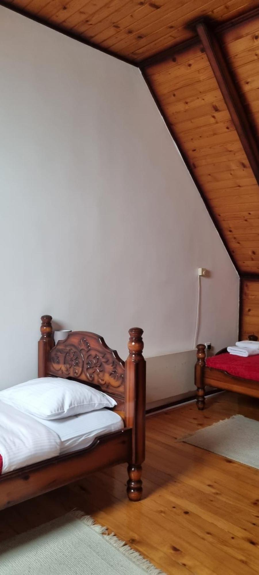 Kraljevi Konaci Olja Apartment Zlatibor Bagian luar foto